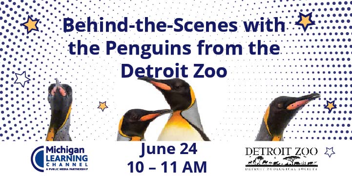 Detroit Zoo Penguins event with Michigan Learning Channel