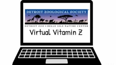Virtual Vitamin Z from the Detroit Zoo graphic