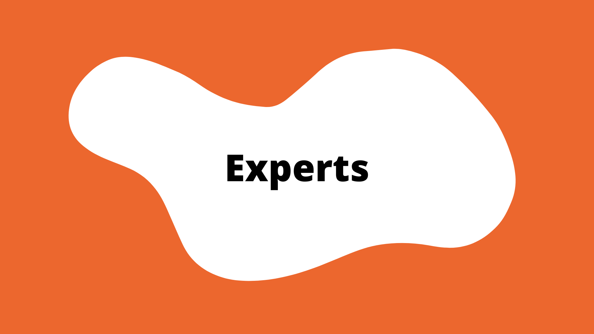 Experts