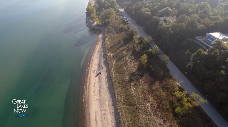 Aerial Shot of a small beach, with a stratch of grass and trees between the shore and a road.