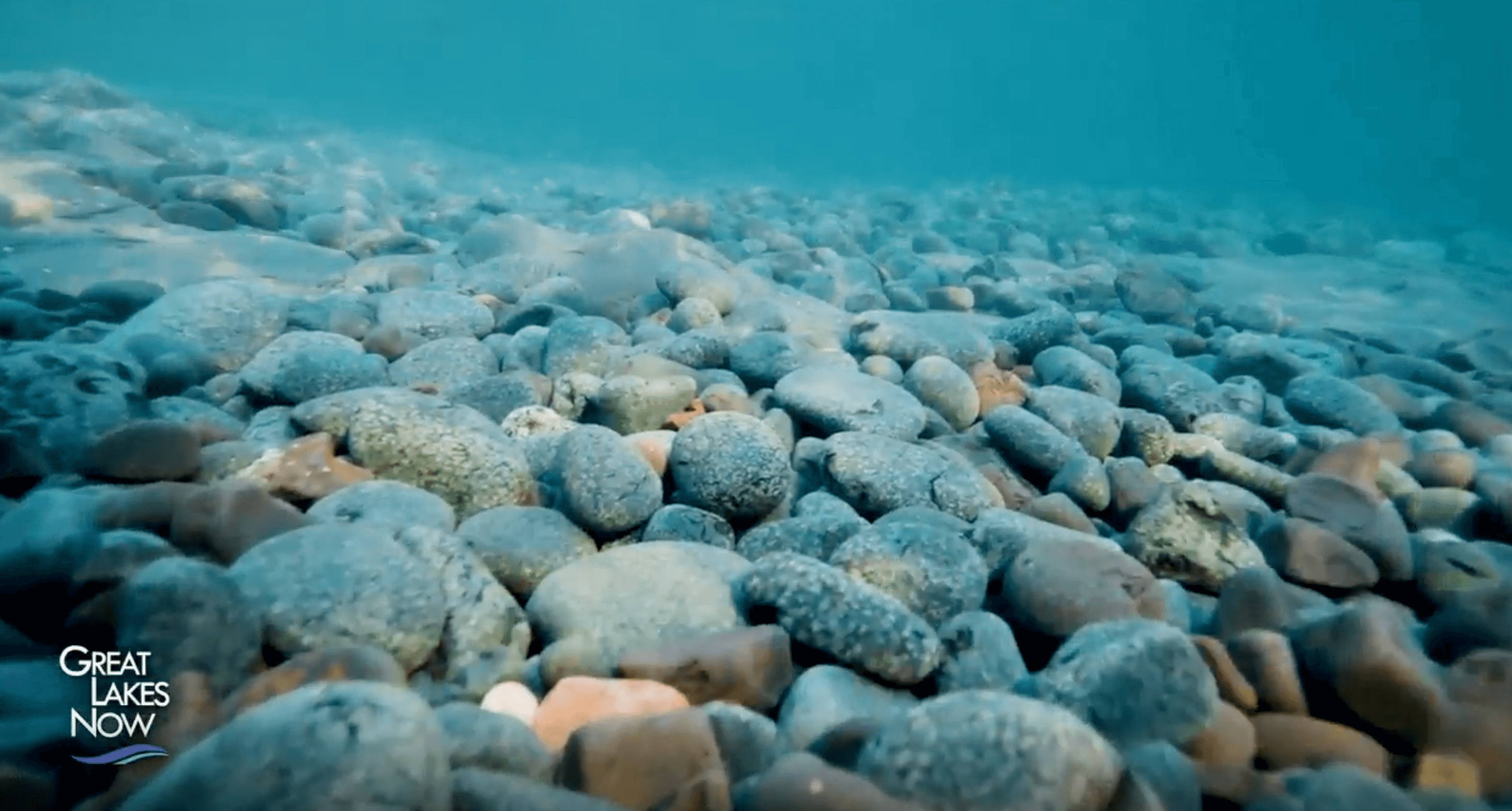 an underwater photo of a rocky lake bed