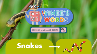 A photo of a small green snake on a branch. The Wimee's Words logo and a snake icon are superimposed over it