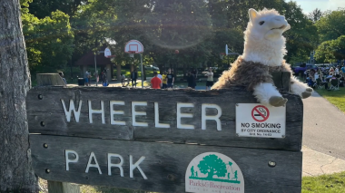 Welcome sign for Wheeler Park with an alpaca pupper sitting on top