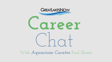 career chat aquarium curator